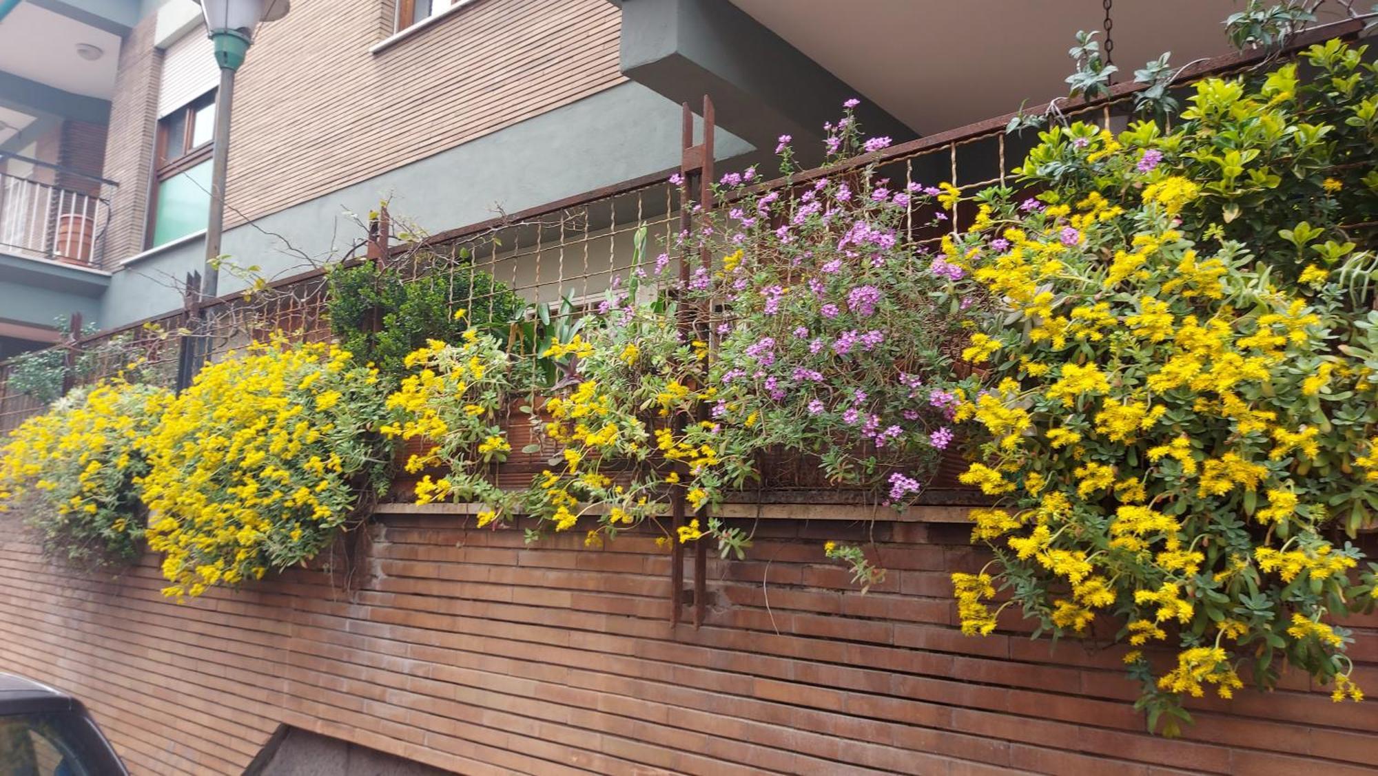 Appartamento Isabella Roma Exterior foto